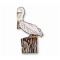 Pelican, American White pin