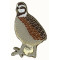 Quail, Northern Bobwhite