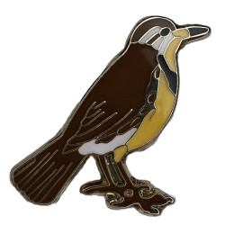 Meadowlark, Western pin