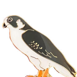 Falcon, Peregrine pin