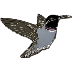 Hummingbird, Black-chinned