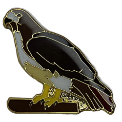 Hawk, Red-tailed pin