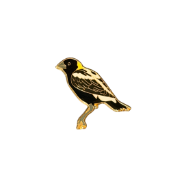 Bobolink