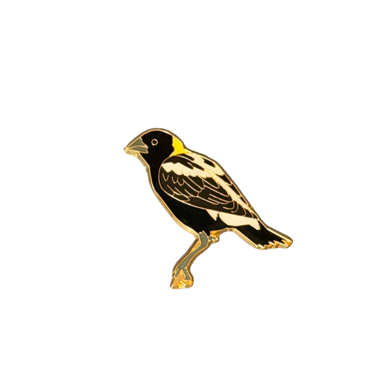 Bobolink