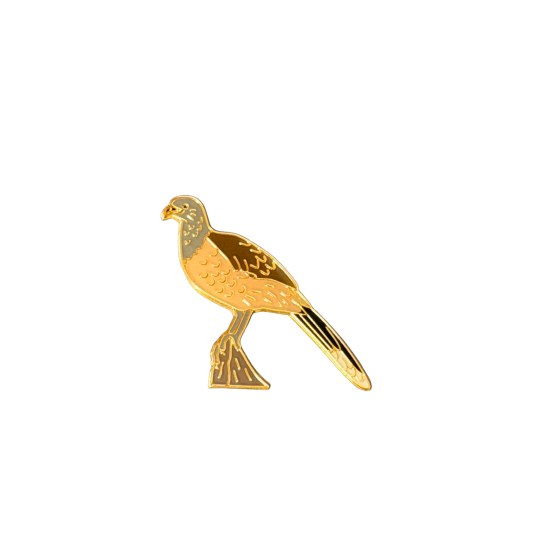 Chachalaca, Plain pin