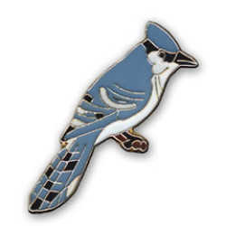 Jay, Blue pin