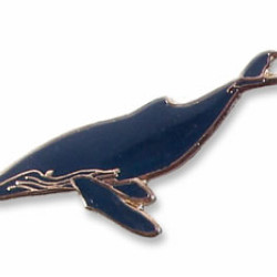Humpback Whale pin