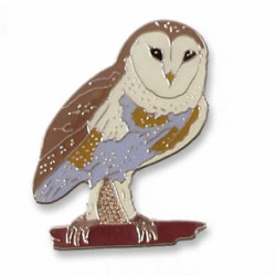 Owl, Barn pin