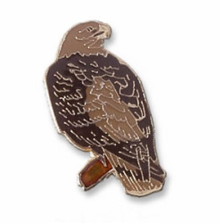 Eagle, Golden (perched) pin
