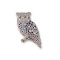 Owl, Western Screech pin