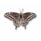 Butterfly, Eastern Black Swallowtail pin