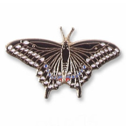 Butterfly, Western Black Swallowtail pin