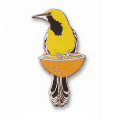 Oriole, Hooded (on an orange) pin