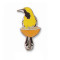 Oriole, Hooded (on an orange) pin