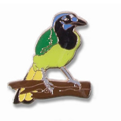 Jay, Green pin