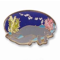 Manatee (cow & calf) pin