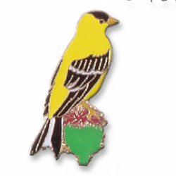 Goldfinch, American (on a thistle) pin