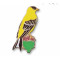 Goldfinch, American (on a thistle) pin