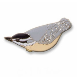 Nuthatch, Red-breasted pin