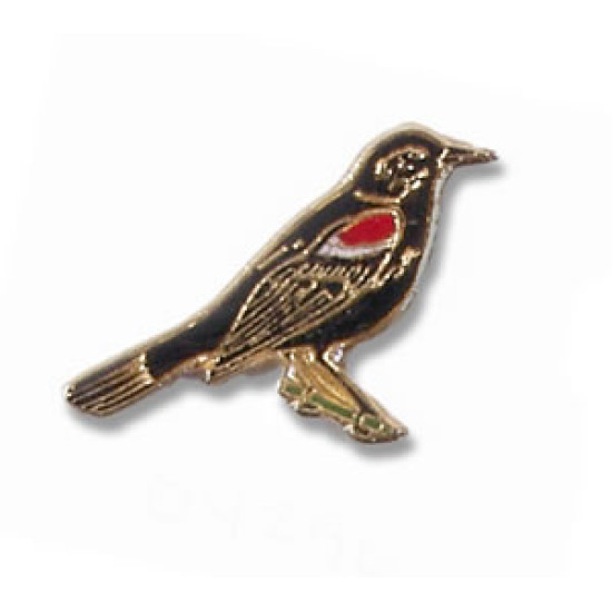 Blackbird, Red-winged