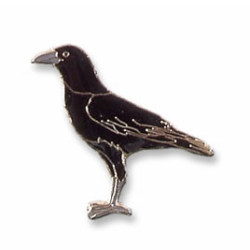 Crow, Northwestern pin