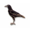 Crow, Fish pin