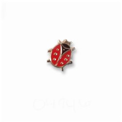 Lady Bug pin