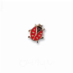 Lady Bug pin