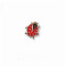 Lady Bug pin